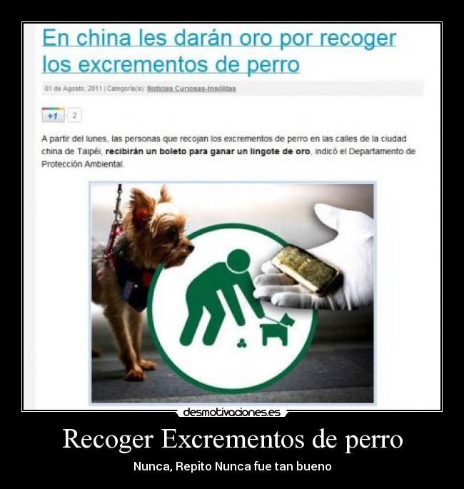 Recoger Excrementos de perro - Nunca, Repito Nunca fue tan bueno