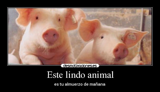 Este lindo animal - 