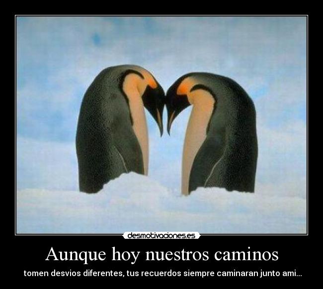Aunque hoy nuestros caminos - tomen desvios diferentes, tus recuerdos siempre caminaran junto ami...