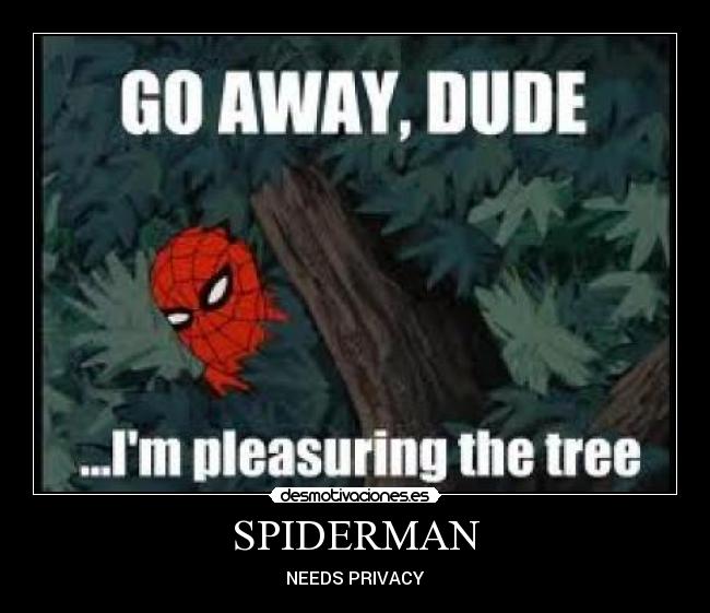 SPIDERMAN - NEEDS PRIVACY