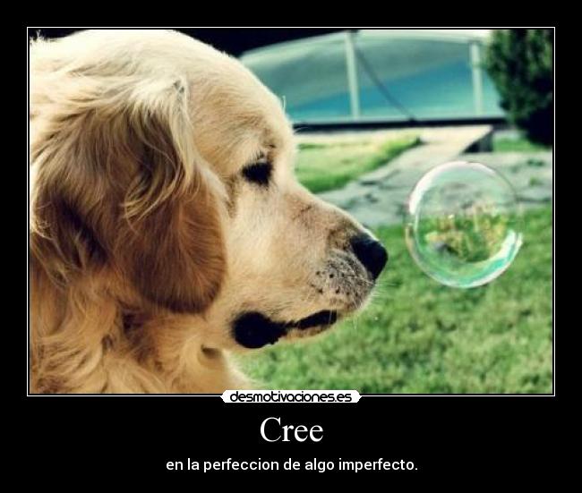 Cree - en la perfeccion de algo imperfecto.