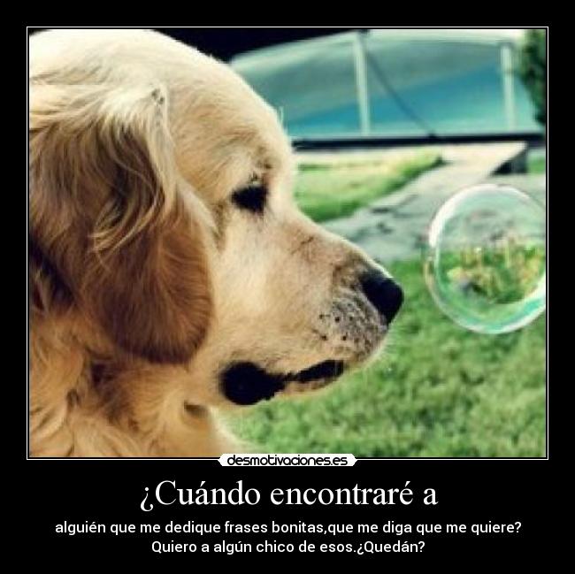 carteles hay algun chico que quiera desmotivaciones