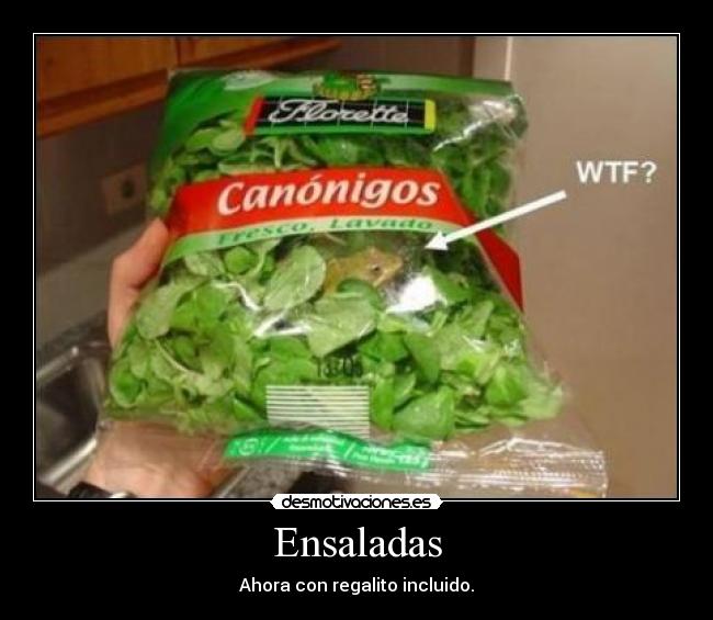 carteles ensaladas desmotivaciones