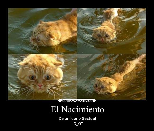 El Nacimiento - De un Icono Gestual
O_O