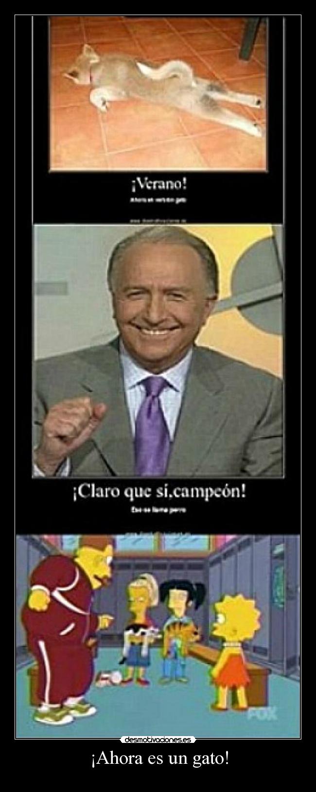 ¡Ahora es un gato! -