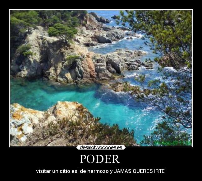 carteles oswaldo desmotivaciones