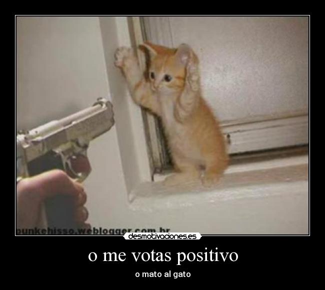 o me votas positivo - o mato al gato