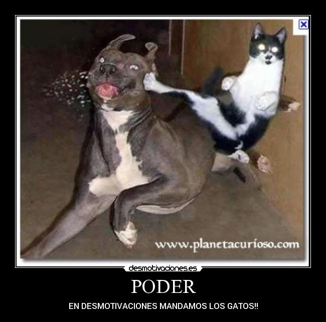 carteles carlos lucas desmotivaciones