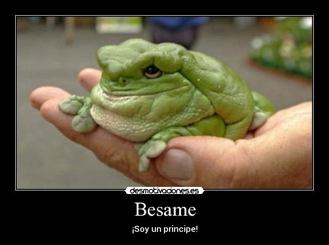 Besame - 