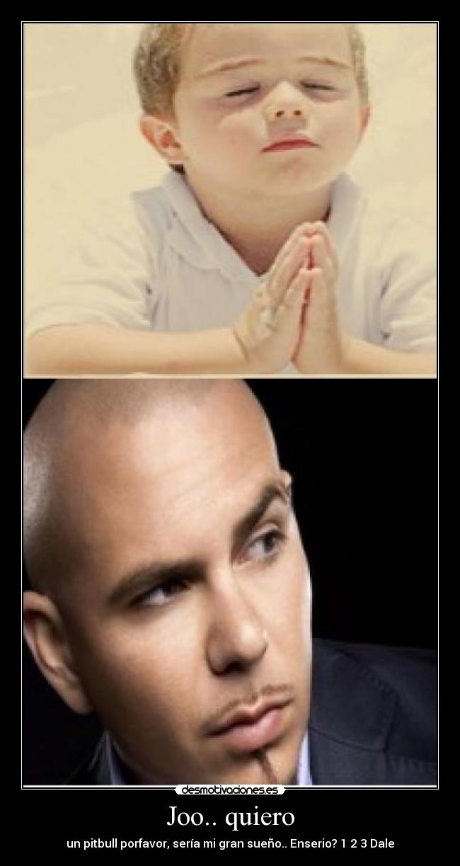 Joo.. quiero - un pitbull porfavor, sería mi gran sueño.. Enserio? 1 2 3 Dale