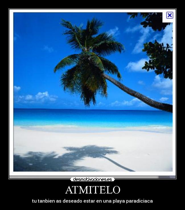 carteles alejandroooooooooooooooooo desmotivaciones