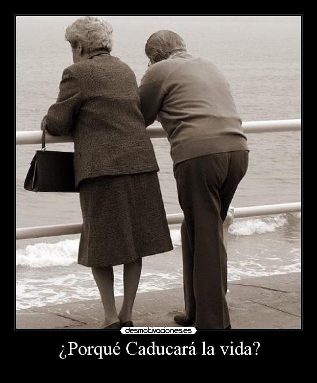 carteles vida krisbric4 desmotivaciones