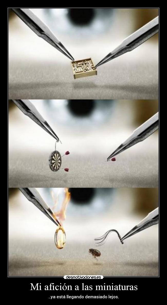 carteles mi aficion las miniaturas ya esta llegando demasiado lejos pulga circo diana juegos desmotivaciones