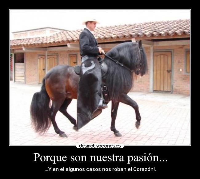 Porque son nuestra pasión... - ...Y en el algunos casos nos roban el Corazón!.