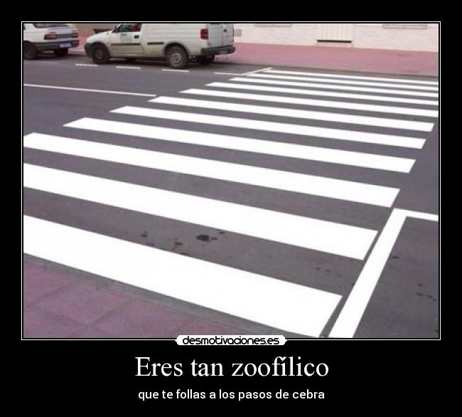 Eres tan zoofílico -
