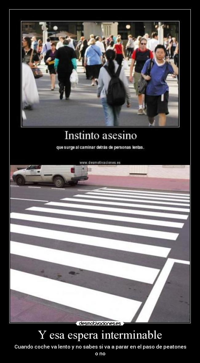Y esa espera interminable - Cuando coche va lento y no sabes si va a parar en el paso de peatones o no