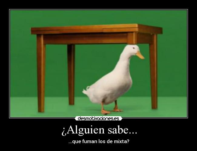 ¿Alguien sabe... -