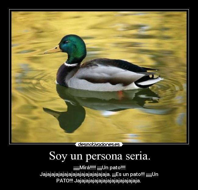 Soy un persona seria. - ¡¡¡¡¡Mirá!!!!! ¡¡¡¡Un pato!!!!
Jajajajajajajajajajajajajajajaja. ¡¡¡Es un pato!!! ¡¡¡¡¡Un
PATO!!! Jajajajajajajajajajajajajajaja.
