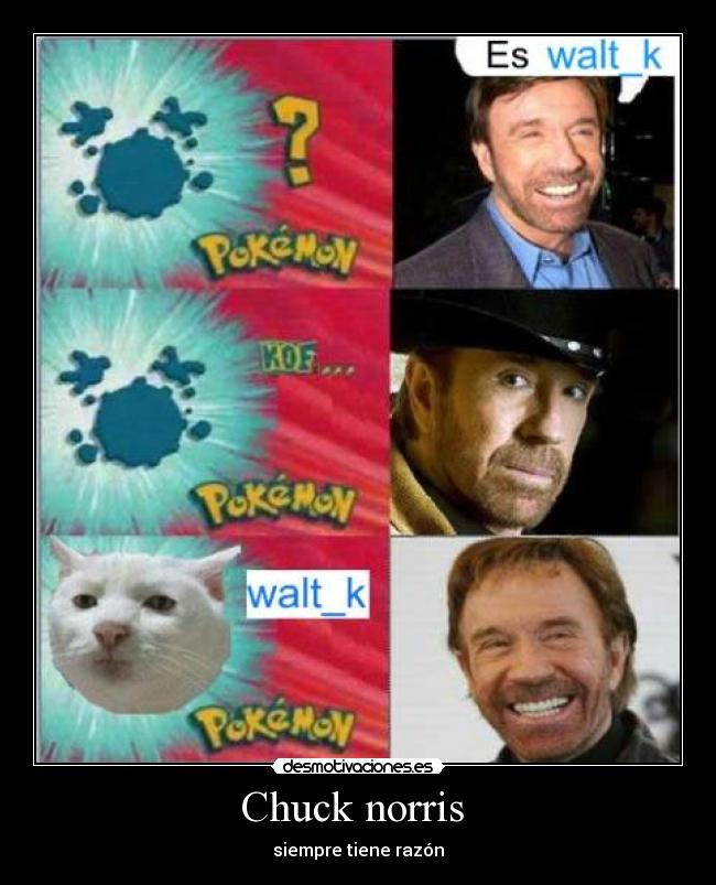 Chuck norris - siempre tiene razón