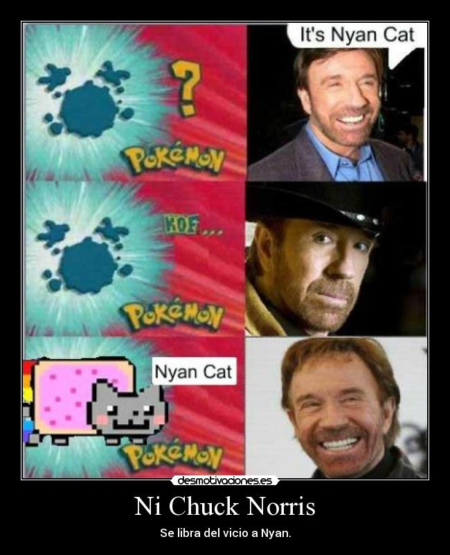 Ni Chuck Norris -