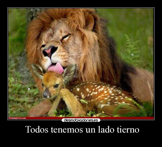 carteles lado tierno desmotivaciones