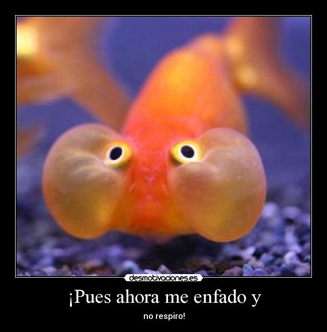 ¡Pues ahora me enfado y - no respiro!