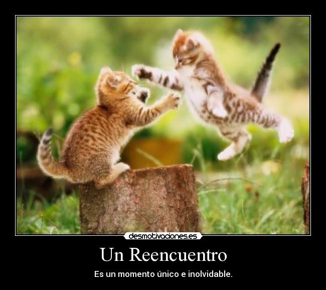 Un Reencuentro - 