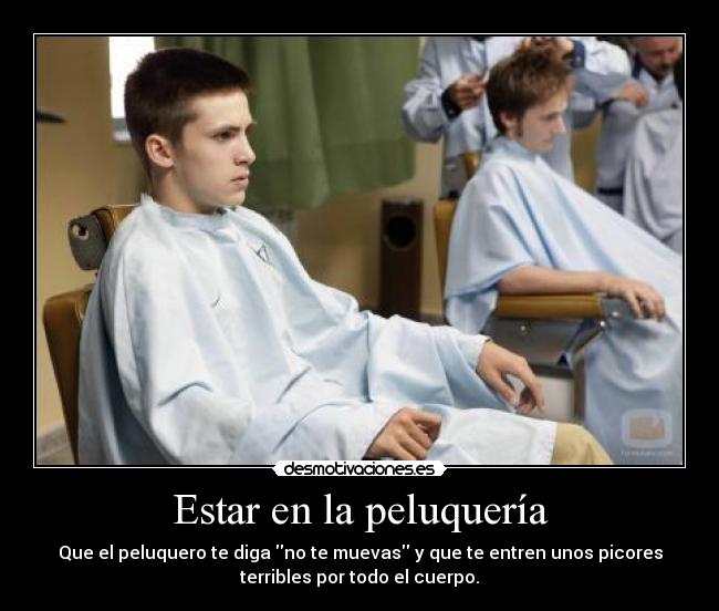 carteles estar peluqueria peluquero decir mover entrar picores terribles todo cuerpo pelo desmotivaciones