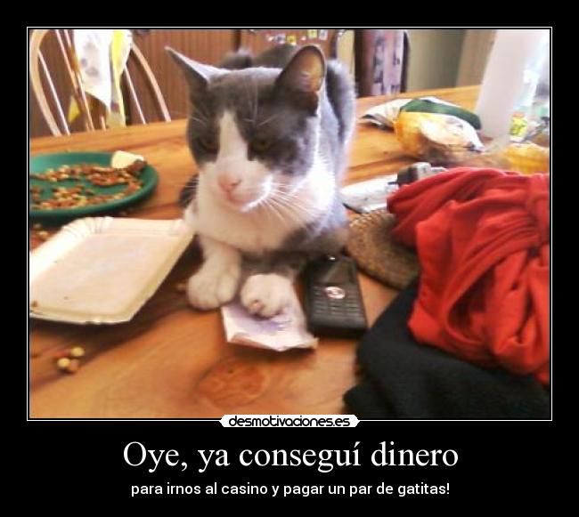 Oye, ya conseguí dinero - 