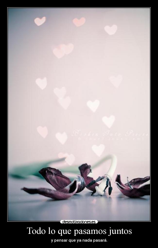 Todo lo que pasamos juntos - 