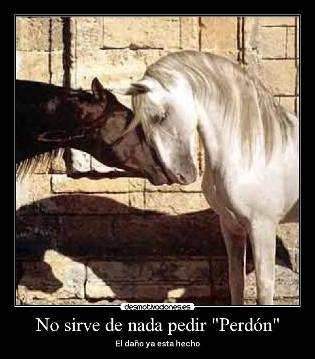 No sirve de nada pedir Perdón - 