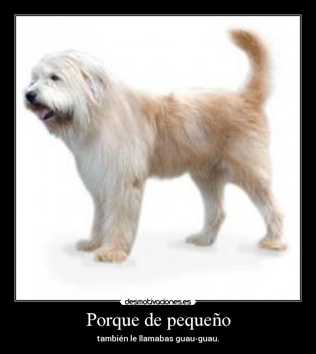 Porque de pequeño -