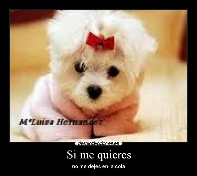 Si me quieres - no me dejes en la cola