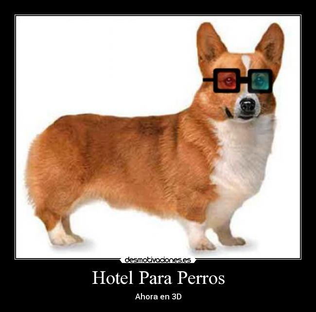 Hotel Para Perros - Ahora en 3D