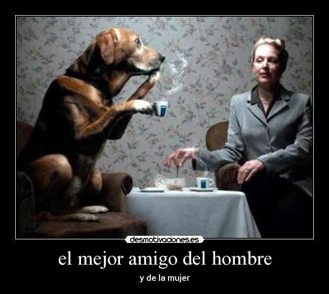 el mejor amigo del hombre - y de la mujer