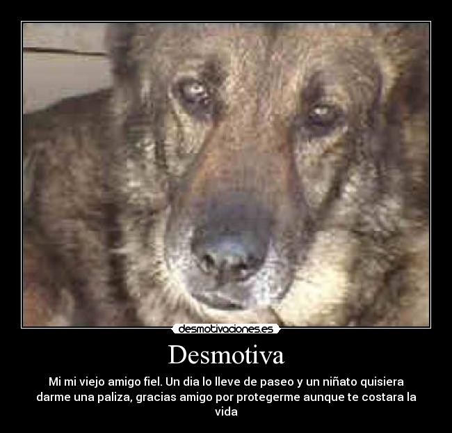 Desmotiva - 