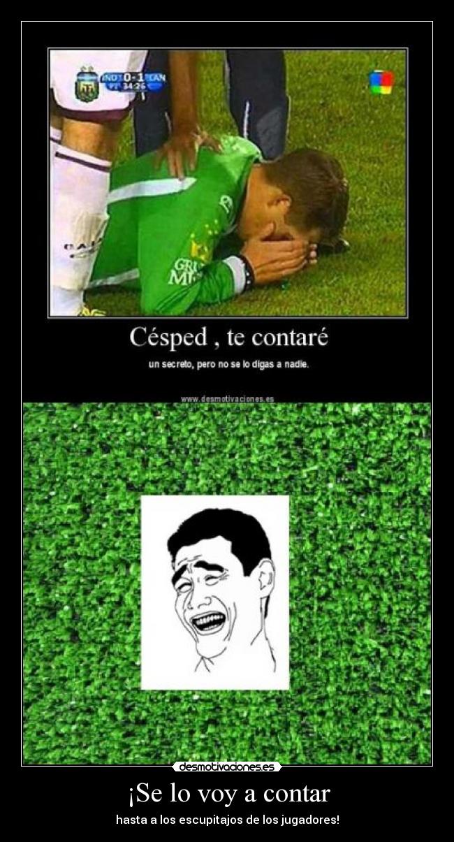 ¡Se lo voy a contar - hasta a los escupitajos de los jugadores!