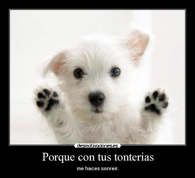 Porque con tus tonterias -