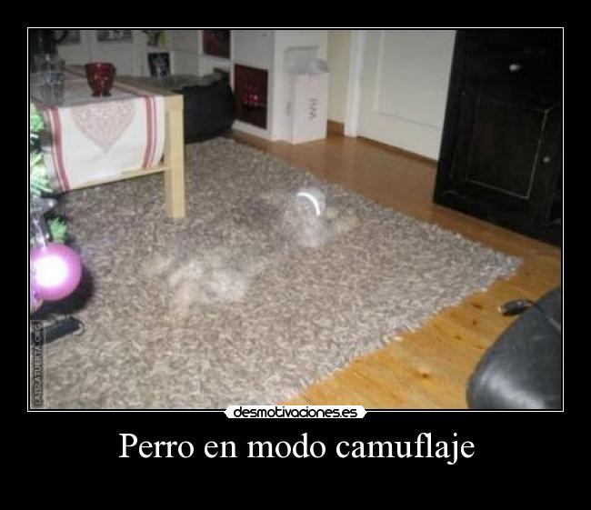 Perro en modo camuflaje -
