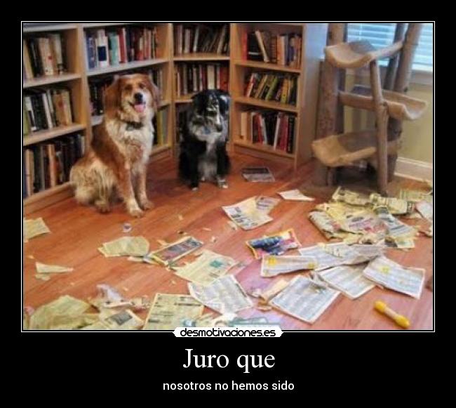 Juro que - nosotros no hemos sido