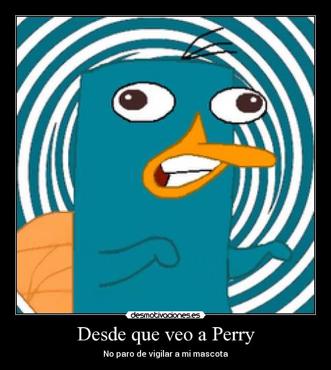 Desde que veo a Perry - No paro de vigilar a mi mascota