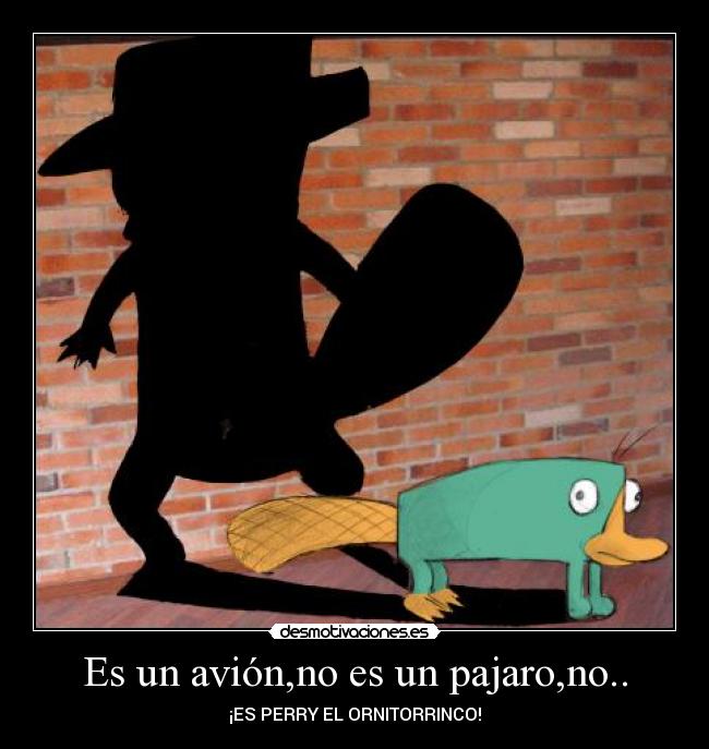 Es un avión,no es un pajaro,no.. - 