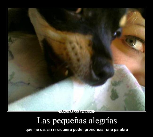 Las pequeñas alegrías - que me da, sin ni siquiera poder pronunciar una palabra