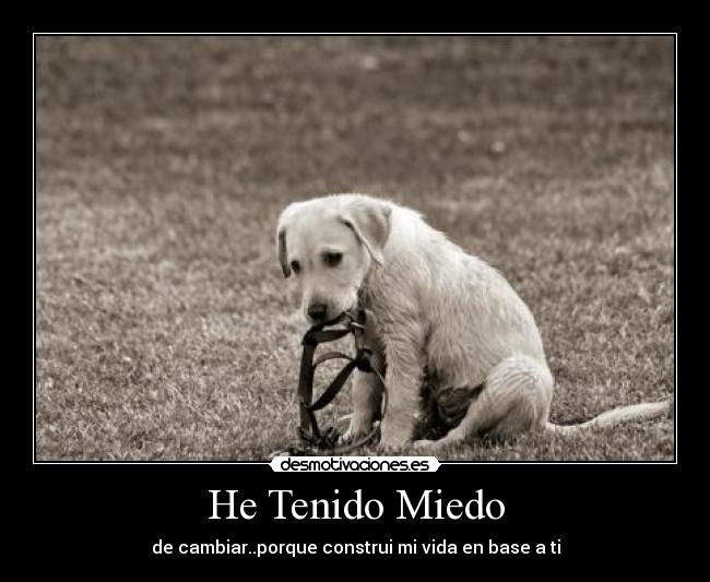 He Tenido Miedo - de cambiar..porque construi mi vida en base a ti
