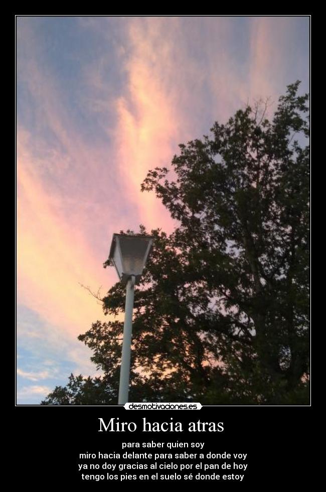 Miro hacia atras -