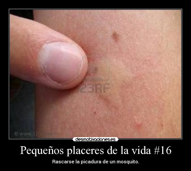 carteles vida pequenos placeres vida desmotivaciones