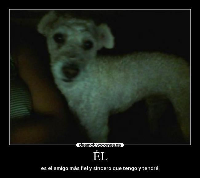 ÉL - es el amigo más fiel y sincero que tengo y tendré.