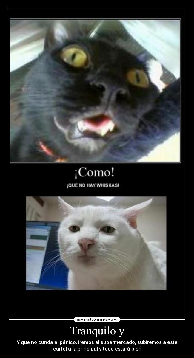 Tranquilo y -