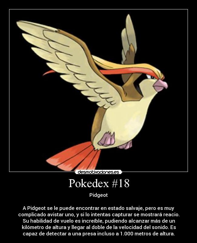 Pokedex #18 -