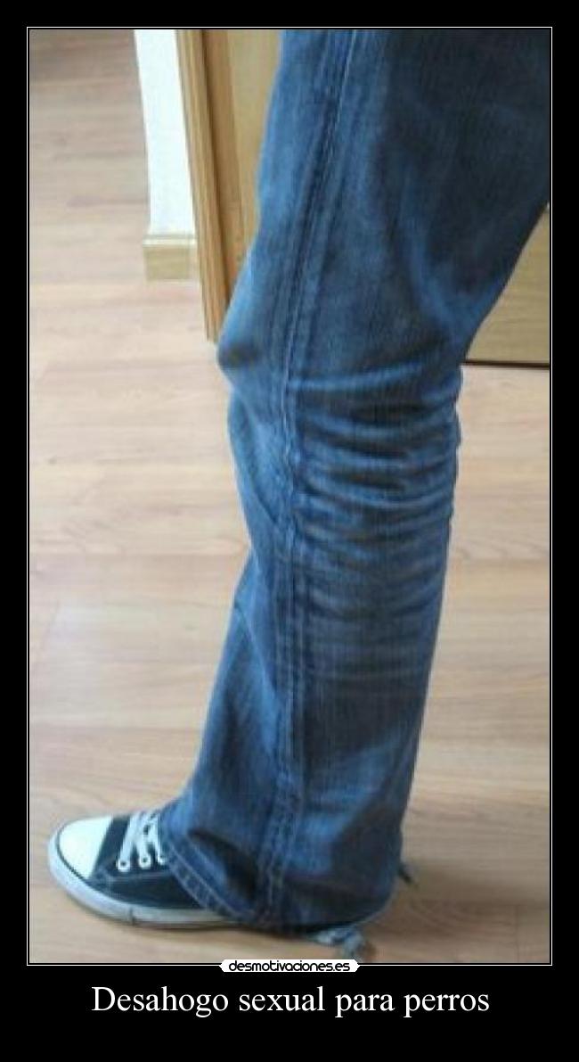 Desahogo sexual para perros - 